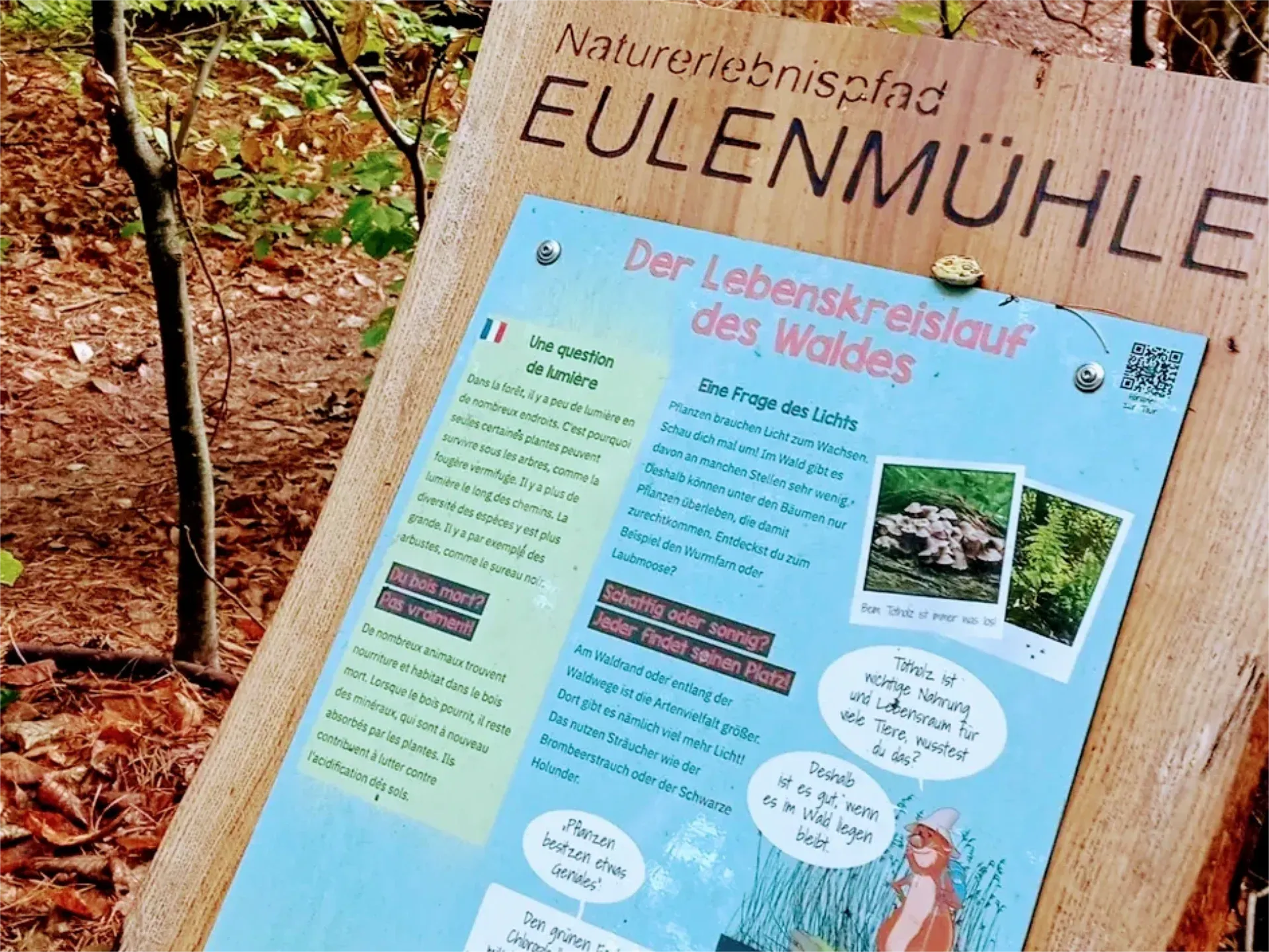 Storytelling — Regionalgeschichten und Inhalte